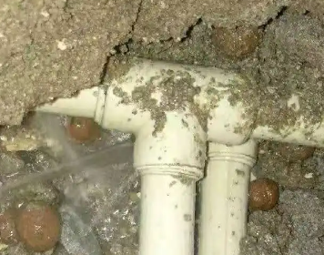 达拉特测漏水多少钱